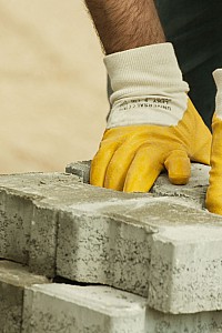 61787897